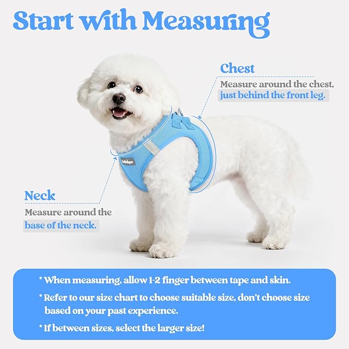 rabbitgoo Dog Harness Small Sized and Leash Set, Step in Soft Light Puppy Vest, Breathable Mesh Pet Harness, Reflective for Safe Easy Walking, Blue XXS