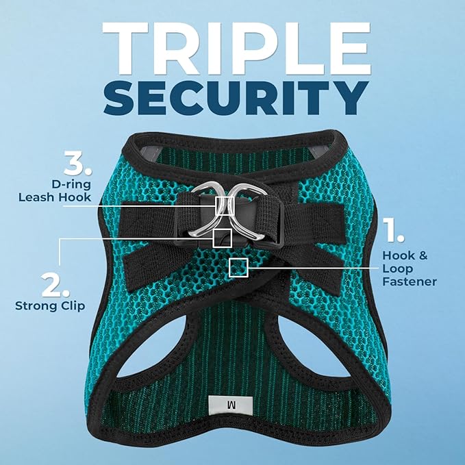 Best Pet Supplies Voyager Step-in Air Harness - All Weather Mesh, Reflective, No Pull Harness for Dogs, Cats - Secure with Hook & Loop Fastener, Buckle, Double D-Rings - Turqupise 2-Tone, L