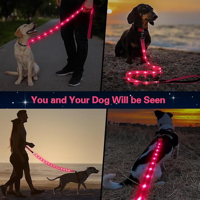 Dolitego Light Up Dog Leash, 5 Ft LED Dog Lead Rechargeable Glow in The Dark Pet Leashes Safety Dog Lights for Night Walking (Pink)