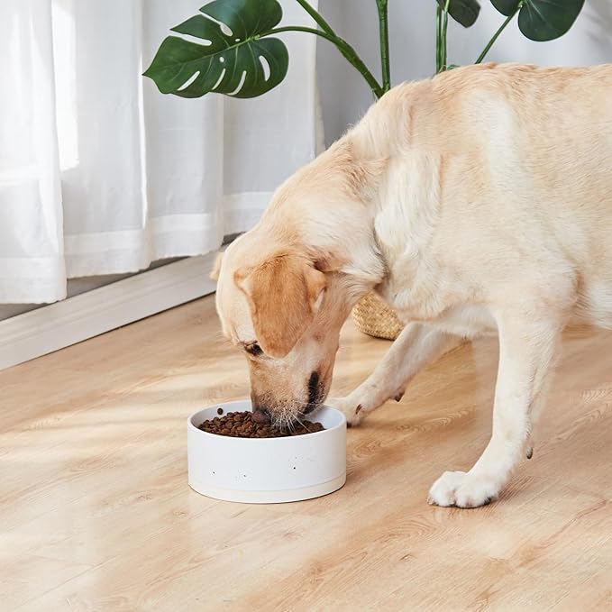 Oslo Ceramic Dog Bowl - 8'' Dog Food Water Bowl for Medium and Large Dogs, Heavy Duty Non-Slip Dog Dish, Modern Scandi-Style Stoneware Pet Feeder Bowl, Dishwasher Safe (70Oz, White)