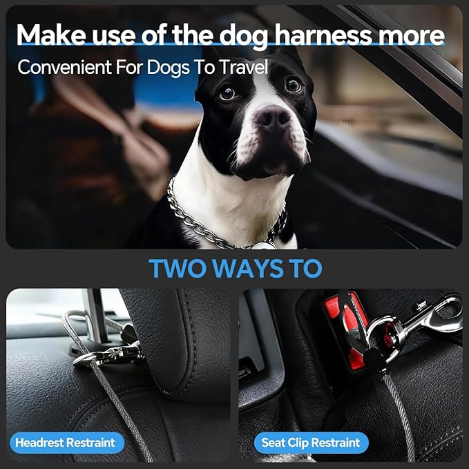 2 Pcs Car Seat Belt Harness for Dog, Dog Seatbelt Clips of Coated Wire Leash Safety Restraint, Metal No Chew Tether Cable Vehicle Dogs Accessories,Double Clips & Buckle Latch (Black)