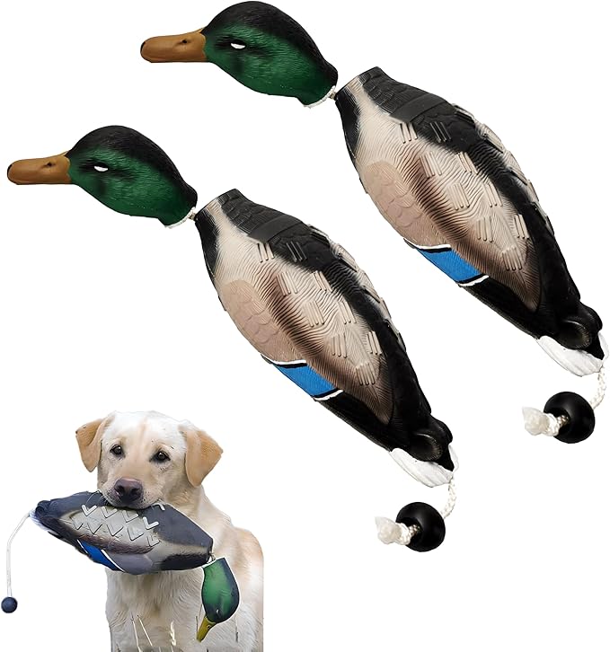 fingig 2 Pcs Duck Dummy Bumper Toys for Hunting Retriever Dog Training, Dog Retriever Outdoor Training Toy ，Hunting Duck Recognition Trainers, Foam Pet Interactive Toys