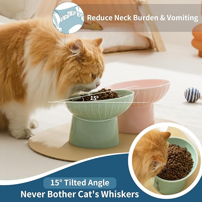 TAMAYKIM 6.5 Inch Tilted Extra Wide Raised Ceramic Cat Bowls, Round Food and Water Bowls for Elder Big Cats and Small Dogs, Elevated Pet Feeder Dish, Stress Free, Protect Cat's Spine, Pink & Green