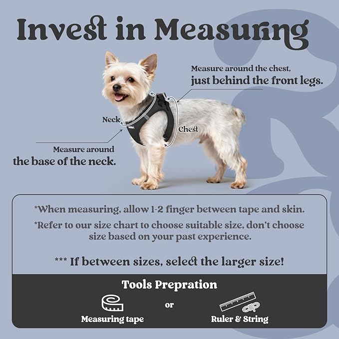 rabbitgoo Small Dog Harness, Step-in Soft Mesh Puppy Vest with Safety Buckle, Breathable Reflective Pet Harness for Small Sized Dogs, Black S