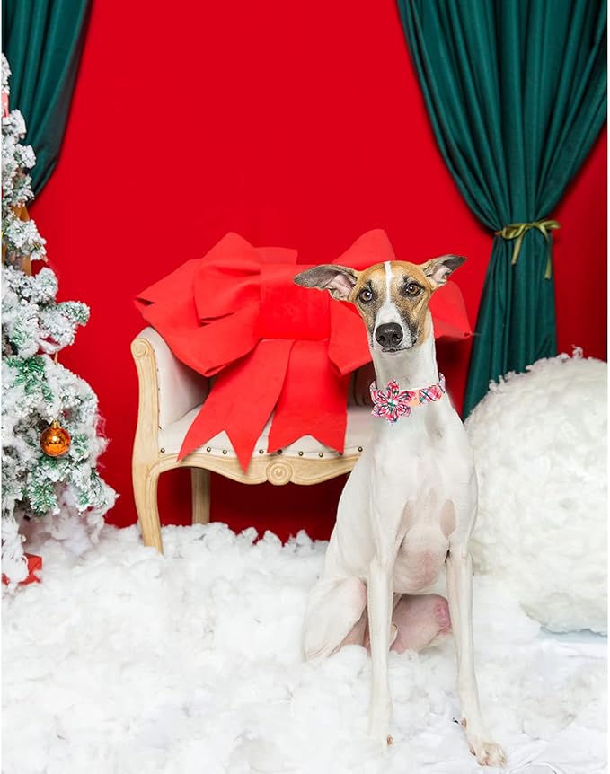 Unique style paws Cotton Dog Collar with Bow Winter Christmas Puppy Collar with White & Red Grid for Small Medium Large Boys Girls Dogs