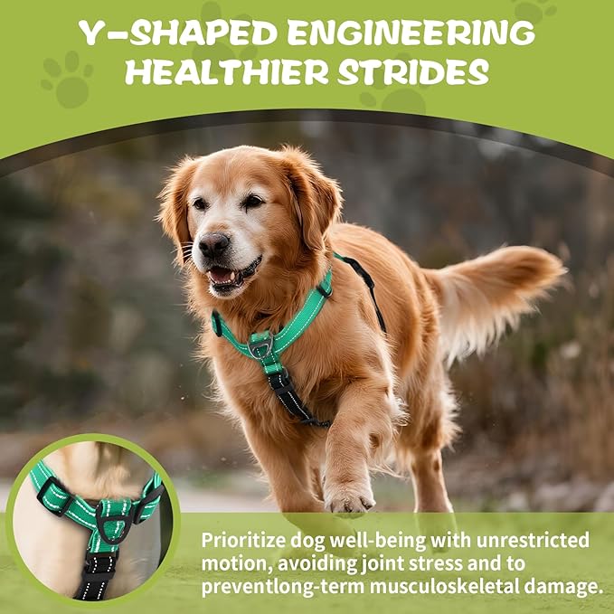 Dog Harness,Adjustable No Pull Dog Harness,Y-Shaped Design,Buckle-Neck Balance Harness with Reflective, Ideal for Dog Training Hiking, Easy Walk Harness,Durable High-Tensile Nylon Aqua Green-S