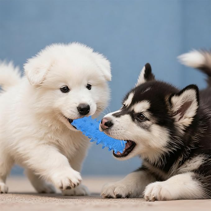 2 Pack Chew Toys for Puppies & Dogs, Dog Chew Toys to Keep Them Busy, Durable Puppy Teething Chew Toys, Tough Puppy Toothbrush Clean Teeth Interactive Toys for Small Medium Breed (Blue)