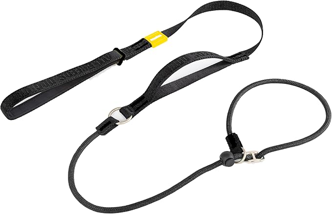 Dog Slip Lead Dog Leash,Fine Webbing Training Leash, No Pulling Slip Leash Collar,Heavy Duty&Durable,Padded Handle,Easy-Control for Small,Medium or Large Dogs,5FT (Black, 5FT)