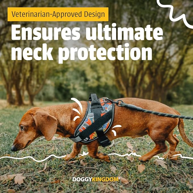 Non Pull Dog Harness with Patch Panels and Handle, Adjustable, Reflective, No Choke, Heavy Duty Easy On Service Dog Vest Harnesses for Medium Large Small Sized Dogs - Military Desert, L