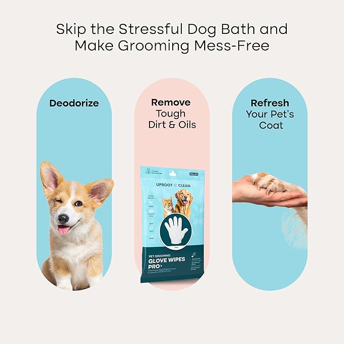 Uproot QuickClean Gloves Pro: 1 Month Supply - Extra-Thick Pet Glove Wipes for Dogs & Cats - Easy Wipe Paws, Eyes, Ears, Butt, & Body - Lick-Safe - Cleaning, Deodorizing & Grooming (6 Pack)