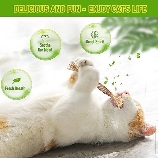 GBSYU 1 Pack Silvervine Cat Toy, Silvervines Sticks Cat Toys for Indoor Cats, Cat & Kitten Chew Toys for Aggressive Chewers, Cat Dental Toy for Kitten Teeth Cleaning, Matatabi Silvervine for Cats