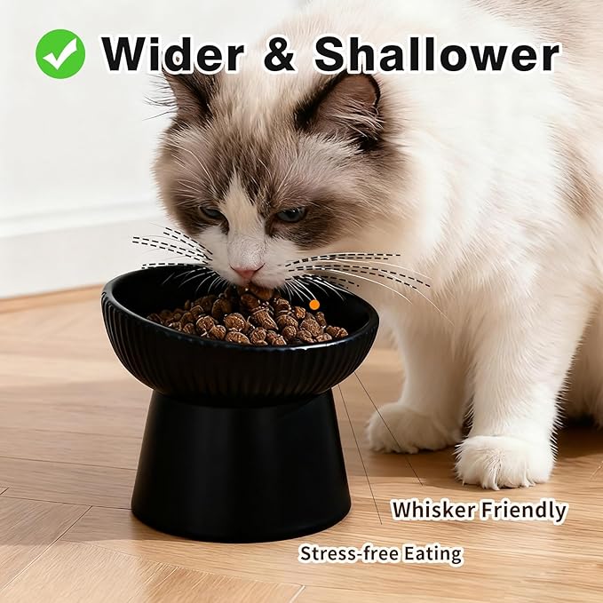 Elevated Cat Food Bowl, Ceramic Raised and Tilted Water Bowl, Whisker Fatigue Cat Bowls for Indoor Cats, Anti Vomiting and Protect Spines Pet Feeding Dishes for Kittens Small Dog, Heavy Non-Slip Base