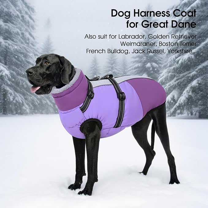 SUNFURA Large Dog Coat with Harness Built in, Warm Dog Jacket Waterproof Pet Winter Coat Snowsuit for Cold Weather, Reflective Fleece Jacket for Large Dogs, Border Collie, Purple XL