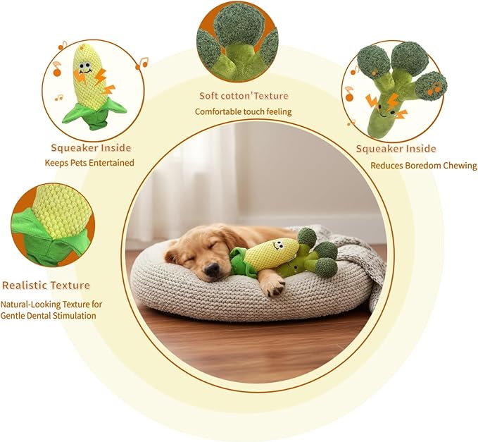 CT SUN Corn & Broccoli Dog Toy Set – Squeaky Plush Teeth-Cleaning Toys with Realistic Texture, Durable Interactive Tug Toys for Dogs and Cats