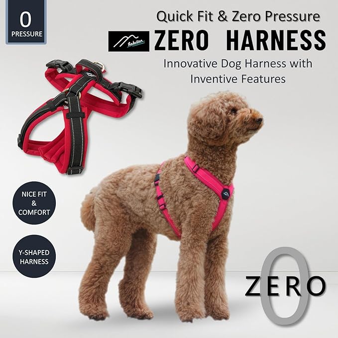 [白山:Hakusan] Zero Dog Harness Basic Type, Safe - No chocking/Hard to Disconnect, Great fit - Easy Put on and Off/Adjustable, Reflector, Tiny - Small & Medium Dog, Two-Tone Orange×Yellow