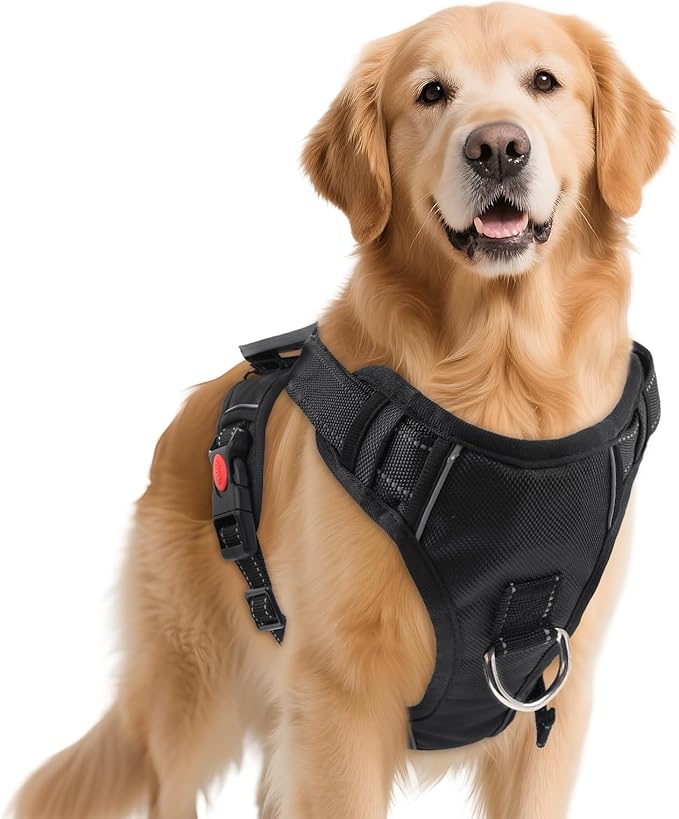No Pull Dog Harness with 2 Leash Clips, Reflective Adjustable Soft Padded Vest with Handle, Breathable Oxford No Choke Pet Vest for Medium Sized Dogs, Black,M