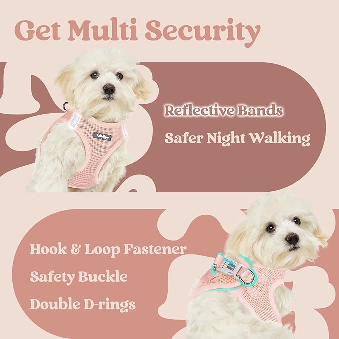rabbitgoo Small Dog Harness, Step-in Soft Mesh Puppy Vest with Safety Buckle, Breathable Reflective Pet Harness for Small Sized Dogs, Pink M