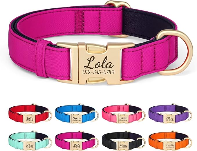 PET ARTIST Colorful Personalized Dog Collars, Custom Dog Collar with Silent Engraved ID Tag, Lightweight Breathable Nylon & Soft Padded, Matching Leash & Poop Bag for Large Dogs,Rose,L Fit 15-23"