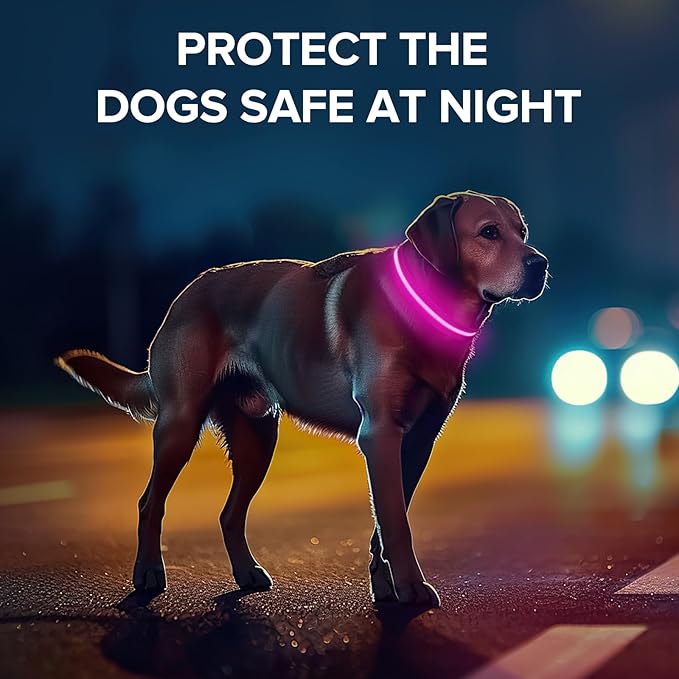 Jewyow Light Up Dog Collar, Adjustable USB Rechargeable Glow in Dark Dog Collar ，Waterproof Dog Collars for Large Dogs (Pink, Large)