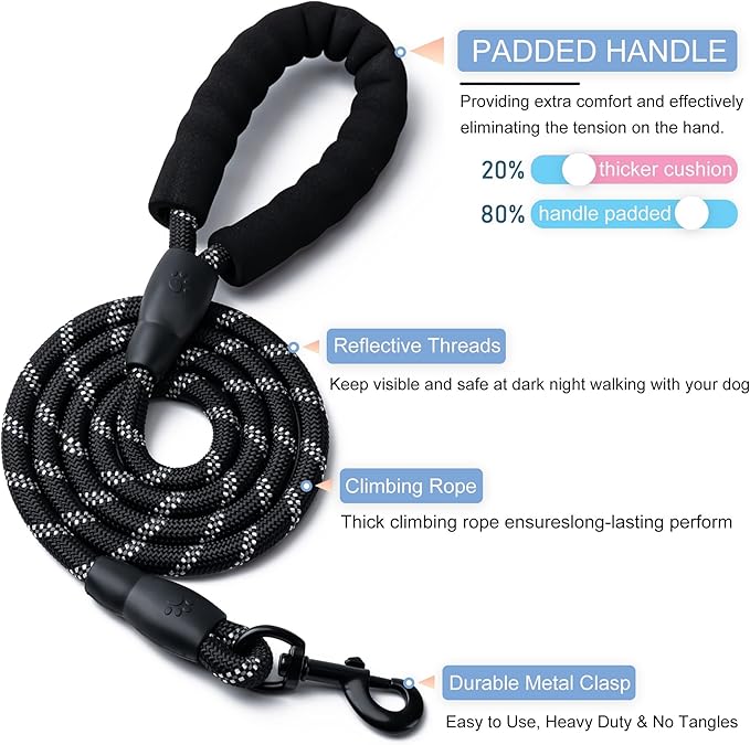 2 Pack Dog Leash, 4/5//6 FT Heavy Duty Nylon Rope Pet Leashes with Comfortable Padded Handle, Reflective Dog Leashes for Small Medium and Large Dogs (5FT-3/8,Black/Turquoise)