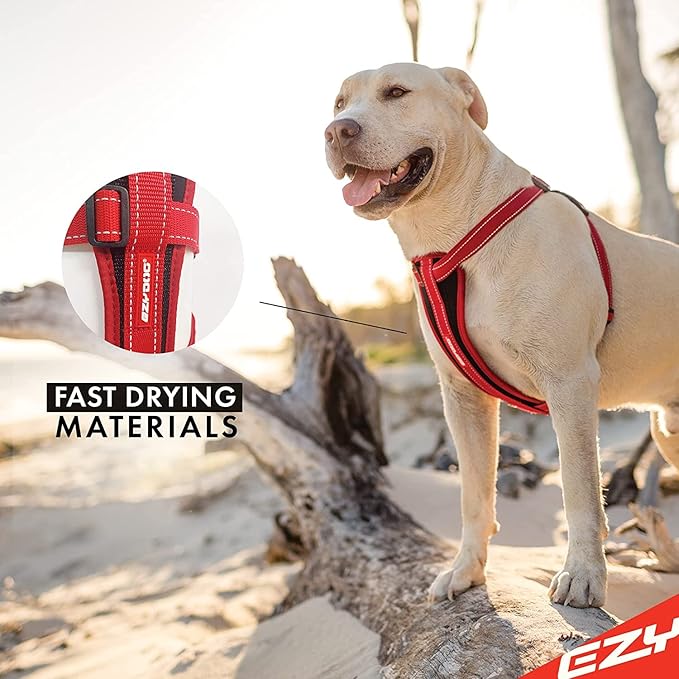 EzyDog Chest Plate No Pull Dog Harness – Escape Proof Harness with Reflective Stitching and Comfort Padding for Easy Walks, Training & Control - Car Restraint Included (X-Small, Orange)