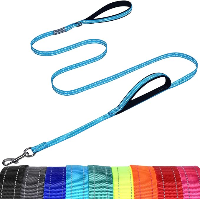 VIVAGLORY Twingrip Dog Leash, Double Handle Dog Leash for Training & Walking with Traffic Handle & 2 Loop, Traffic Control Reflective Heavy Duty for Puppy Pet, 4ft x 1/2in, Lake Blue