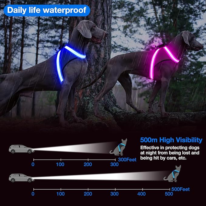 ChalkLit Light Up Dog Harness, No Pull Led Dog Harness Glow-in-The-Dark for Night Walking, USB Rechargeable Lighted Safety Vest for Medium Large Dogs, Adjustable Soft Mesh Fully Illuminated (Blue, M)