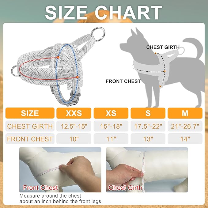 BEAUTYZOO Dog Harness for Small Dogs, No Pull Dog Harness and Leash Set, Soft Escape Proof Puppy Vest Harness with Handle, Reflective Lightweight Step in Harness for Girl Boy Dogs, Red XS