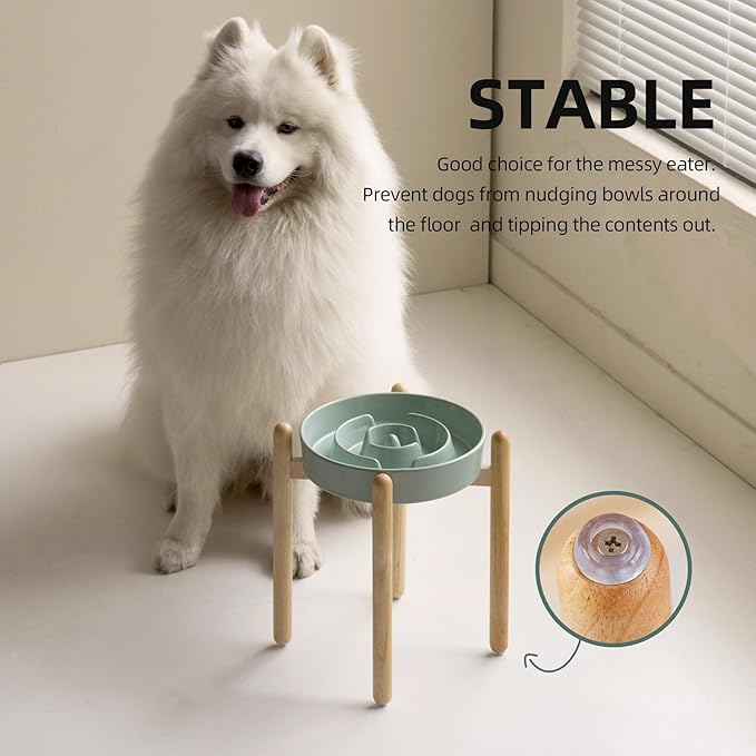 Ceramic 3.2 Cup Raised Slow Feeder Dog Bowl Set, Elevated Bowl with Wooden Stand for Large Dog, 9.5inch Puzzle Slow Pet Food Dish, Anti-Gulping(Light Green, Single Bowl+ Stand)