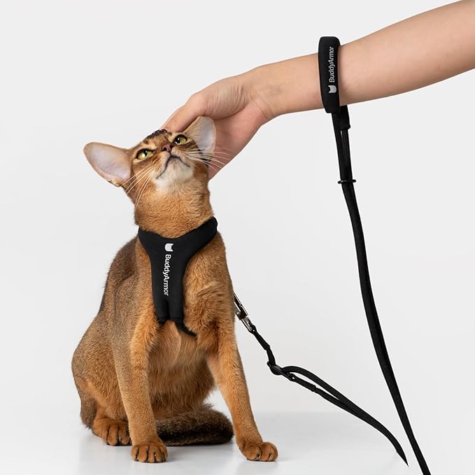 Escape Proof Y Shape Cat Harness Anti-Choke Buckle Adjustable Comfortable Padded Cat Vest Harness Anti Escape Cat Rope Harness for Kitten Small Medium Large Cats (Black, M)