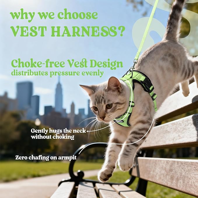 rabbitgoo Cat Harness and Leash for Walking, Escape Proof Soft Adjustable Vest Harnesses for Cats, Easy Control Breathable Reflective Strips Jacket, Light Green, XXS