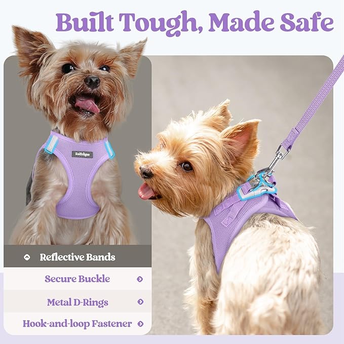 rabbitgoo Dog Harness Medium Sized and Leash Set, Step in Soft Light Puppy Vest, Breathable Mesh Pet Harness, Reflective for Safe Easy Walking, Light Purple XXL