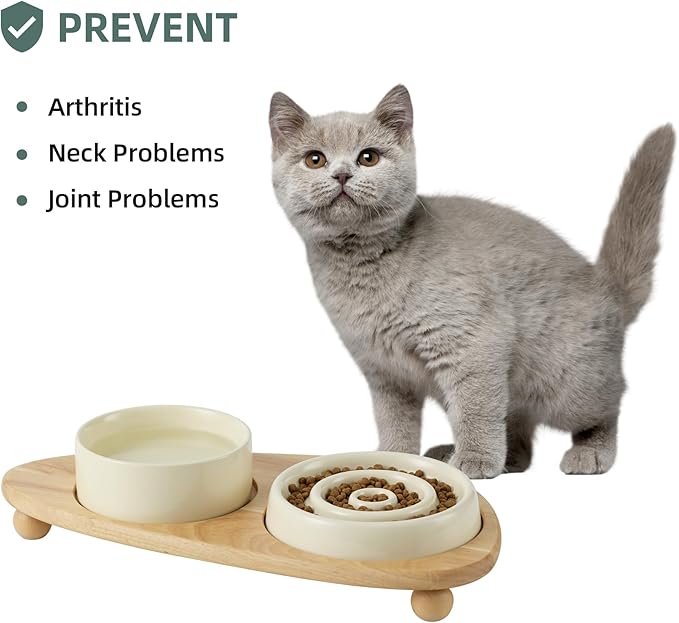 Ceramic Slow Cat Feeder Set, Raised 6.1-inch Slow Cat Food Dish and 5.1-inch Water Bowl with Wooden Stand, Circle Shape. (2 x Bowl with Stand - Beige, 6inch)