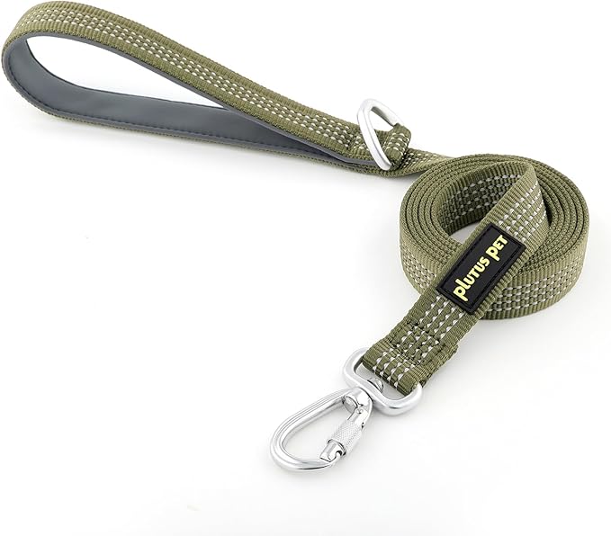 Plutus Pet Heavy Duty Dog Leash with Lockable Aluminum Carabiner, 4/6 Feet Long, Double-Sided Reflective Nylon, Padded Handle, for Puppy, Small, Medium and Large Dogs (Ranger Green, 4/5" x 6')