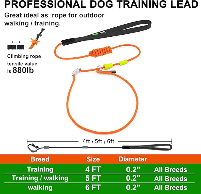 BeauGo|Dog Leash Slip Lead|Dog Training Lead,Trainer Rope Specifically Designed for DogTraining and NGKC Competition,Professional Dog Leash for Small Medium Large Dogs.Thin Slip Leads for Dogs 4 FT
