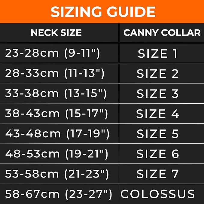 Canny Collar No-Pull Dog Head Collar | Train Your Dog to Stop Pulling & Walk On a Loose Leash | Gentle, Safe, Comfortable Training Aid | Small Dogs | Blue, Size 2