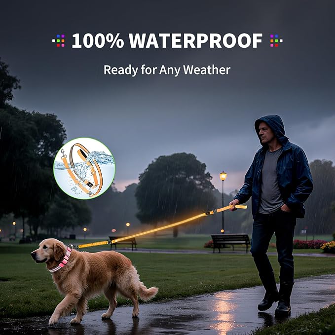 PetIsay Night Walking LED Dog Leash - 6FT Reflective & Waterproof Light Up Safety Leashes for Dogs - USB Rechargeable, Orange