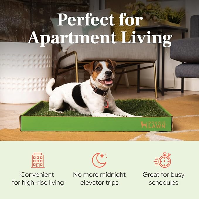 DoggieLawn Real Grass Puppy Pee Pads - Potty Training Pads for Dogs & Puppies - Indoor Grass Dog Potty for Apartments & Bad Weather - Natural Living Grass - XLarge 24 x 48 Inches - Made in USA