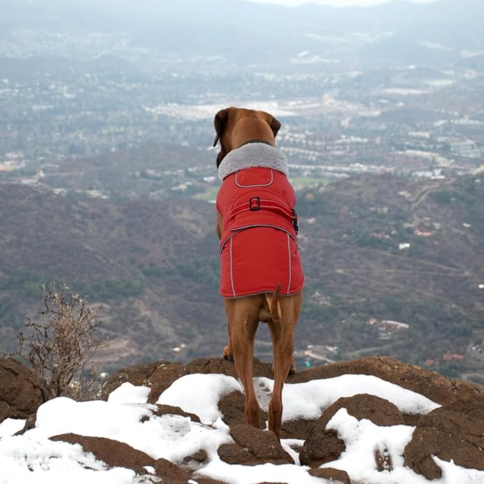 Lelepet Warm Dog Coat Waterproof Dog Jacket Reflective Fleece Vest with Adjustable Buckle Hook & Loop, Windproof Winter Jacket Dogs Coats for Small Medium Large Dogs, Red, XXXL