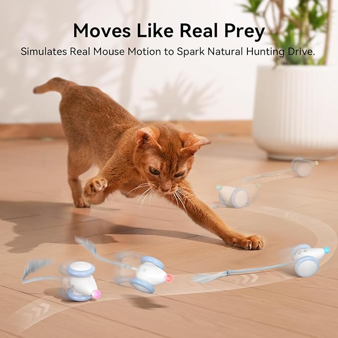 Cheerble Interactive Cat Toys for Indoor Cats, Automatic Moving Kitten Toys, Wicked Mouse Neo Cat Toy with Tail & Lights, Pet Cat Supplies, Rechargeable Cat Toys for Bored Indoor Adult Cats