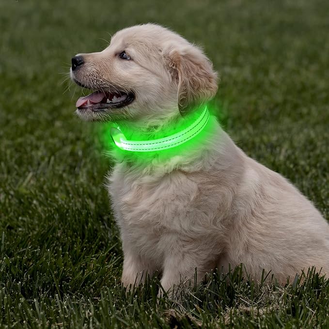 DOMIGLOW Light Up Collar for Small Dogs Cats - Reflective LED Dog Collar Glow in The Dark, Safety Pet Collar Lights for Nighttime Walking (Green)