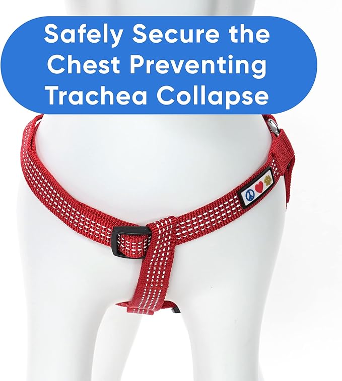 Pawtitas Reflective Step-in Dog Harness – Adjustable No-Pull Vest for Puppies to Seniors, Safe & Comfortable, L Red
