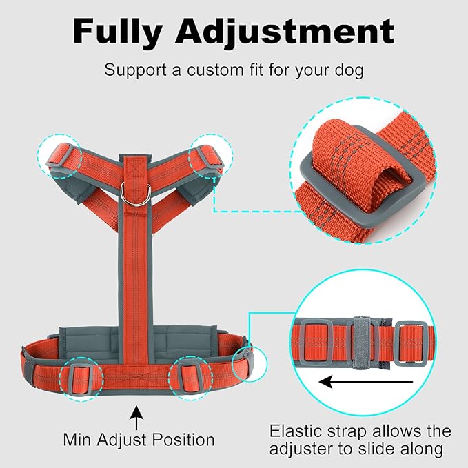 Plutus Pet No Pull Dog Harness, Adjustable Nylon Harness with Soft Padding, Reflective and Heavy Duty Dog Harness for Small, Medium, Large Dogs(Orange, S)