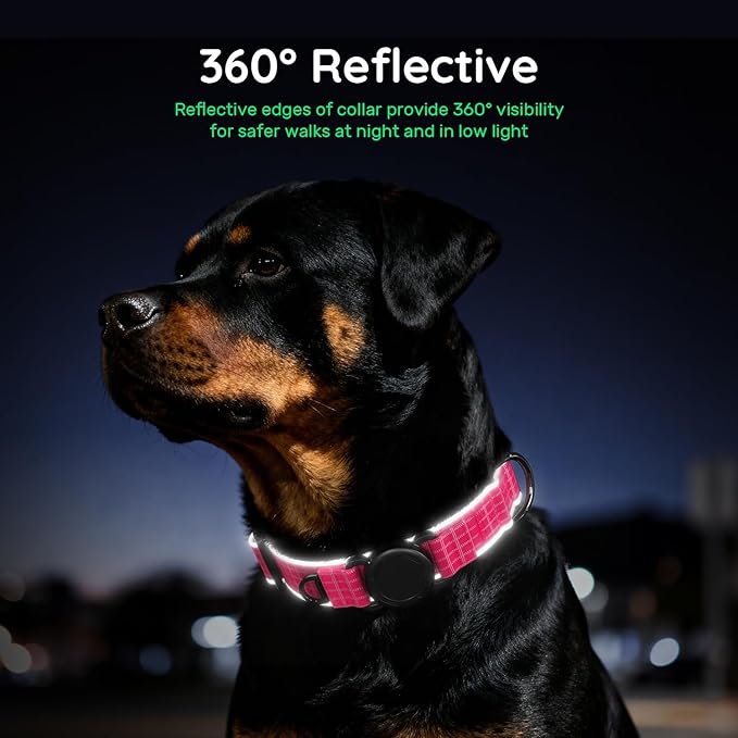 WhoseID Airtag Dog Collar | with Waterproof Air Tag Holder | QR Code Pet ID | Durable Comfortable Oxford Padded | Reflective Collar | for Small Puppy Dogs(Rose2,S,10''~16'')