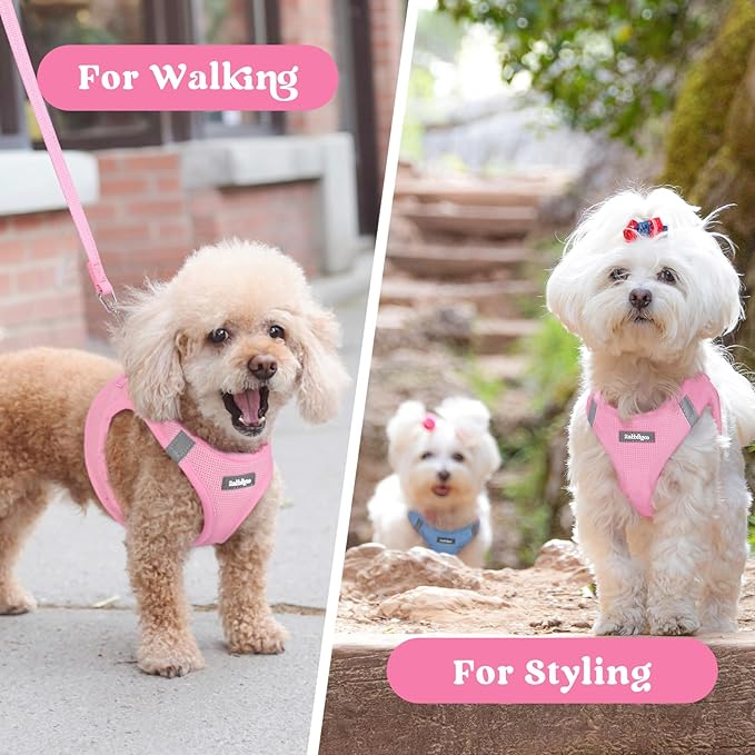 rabbitgoo Small Dog Harness, Step-in Soft Mesh Puppy Vest with Safety Buckle, Breathable Reflective Pet Harness for Large Dogs, Light Pink XXL