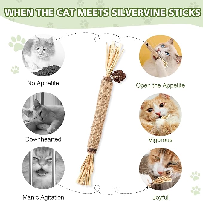 WOUSEDO 6 Pack Silvervine Sticks Cat Toy, Natural Chew Stick for Dental Care Teeth Cleaning,Matatabi Cat nip Treat Toys for Indoor Cats& Kittens