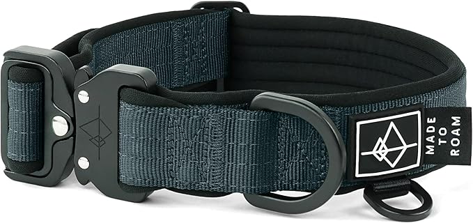 MADE TO ROAM Comfort Collar - Adjustable Nylon Dog Collar with Soft Comfortable Padding, Light Aviation Aluminum Metal Buckle for Small, Medium and Large Dogs (Colorado Nightsky, Size 0)