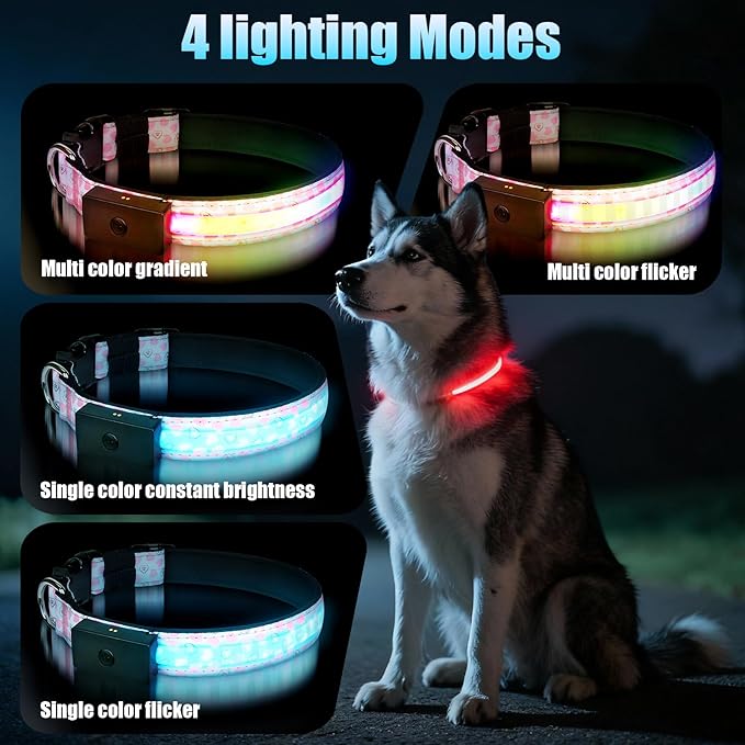 LED Dog Collar - Brightest Light Up Dog Collars - 1,600 Feet of High Visibility - Magnetic Charging - Dog Lights for Night Walking, Heart Extra Large