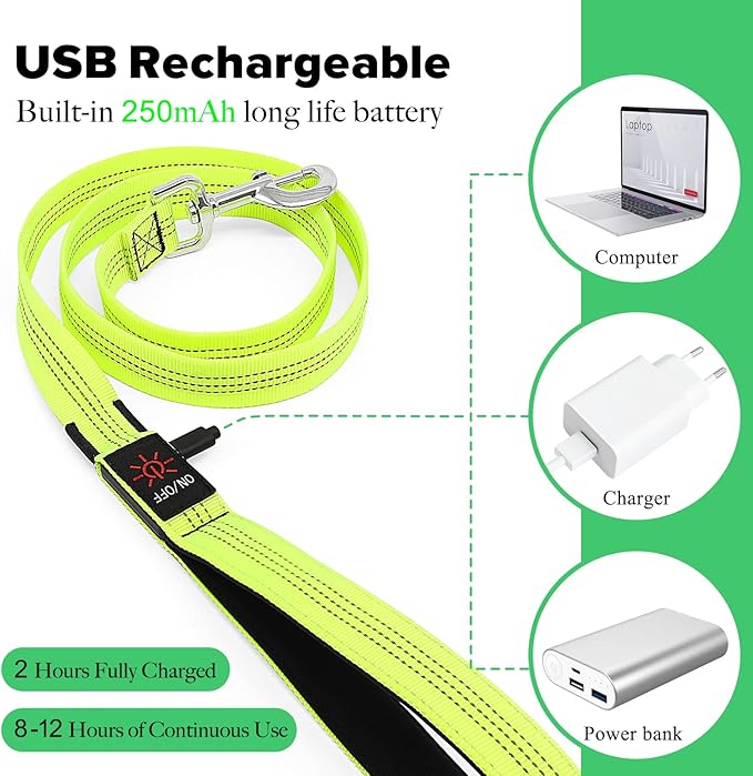 Illumifun LED Dog Leash, USB Rechargeable Glowing Light Up Dog Leash, Nylon Flashing Safety Pet Light for Night Walking (GreenⅡ)