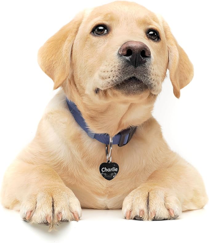 Dog Tags Engraved for Pets Personalized Dog Tags and Tags with 5 Lines Name & Text Various Design Custom Dog Name Tag Heart Dog ID Tags for Puppy Cats Furry Friend